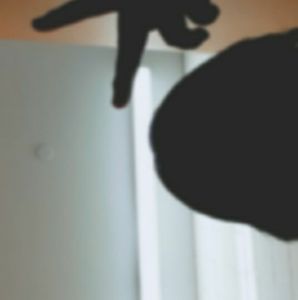 Meet your Posher, Rachael